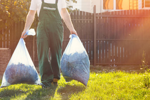 Best Attic Cleanout  in Coloma, MI