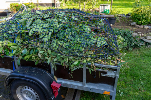 Moving and Downsizing Cleanouts in Coloma, MI